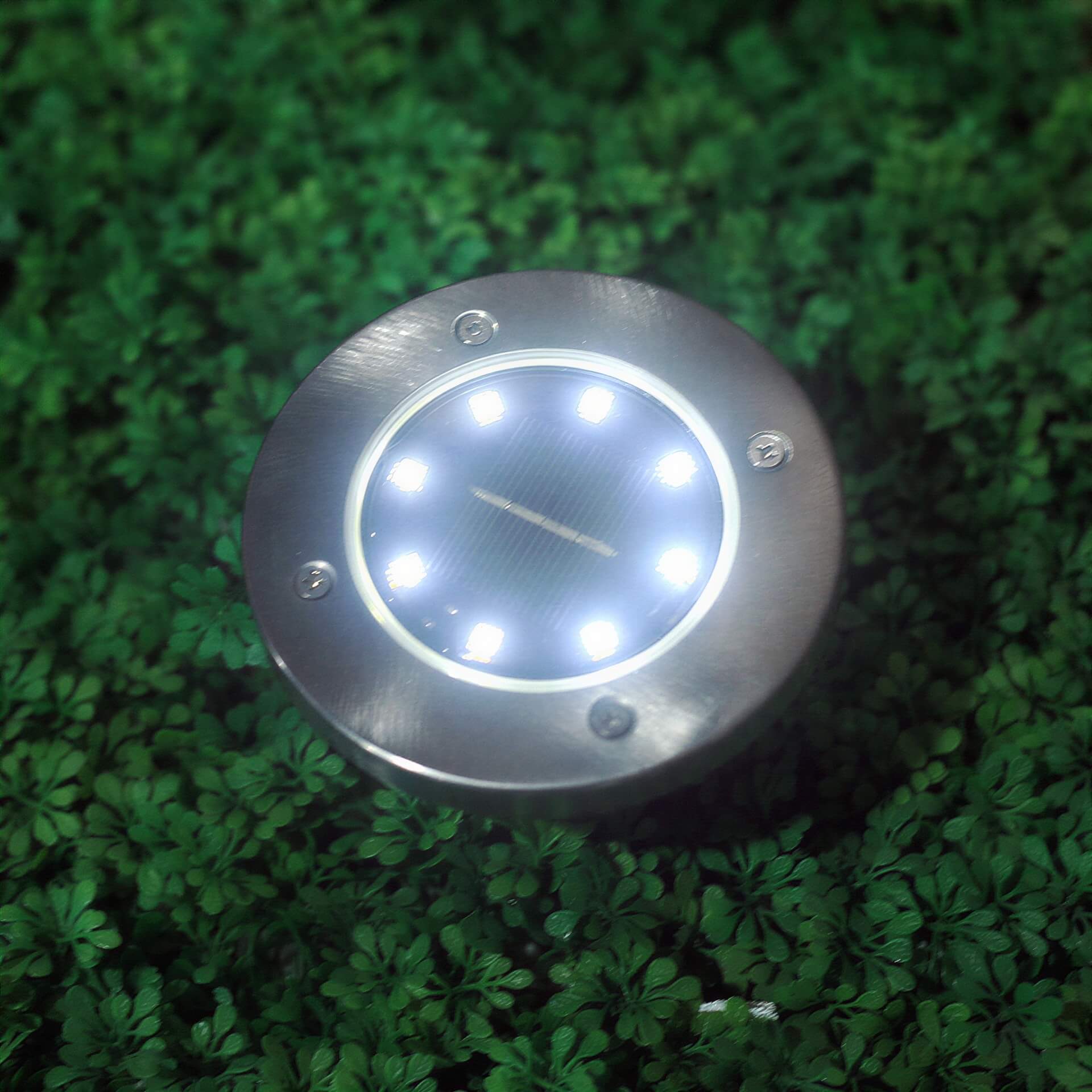 One round metal solar ground light with eight glowing LEDs and a center solar panel on green foliage.
